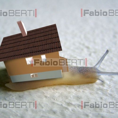 insertion maison sur photo escargot